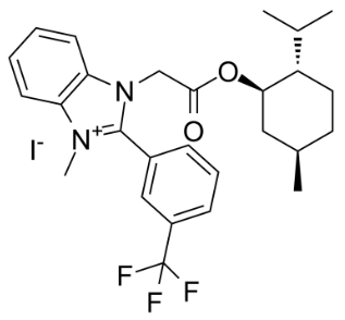 S-Gboxin Structure