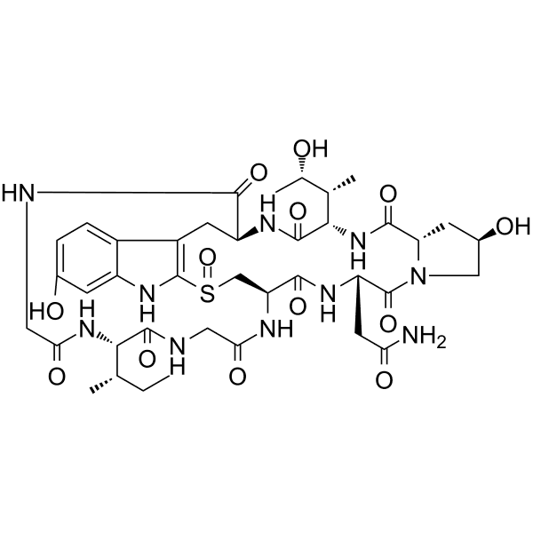 γ-Amanitin Structure