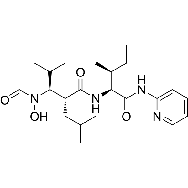 GW-3333  Structure