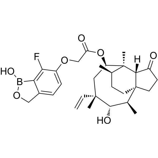 AN11251  Structure