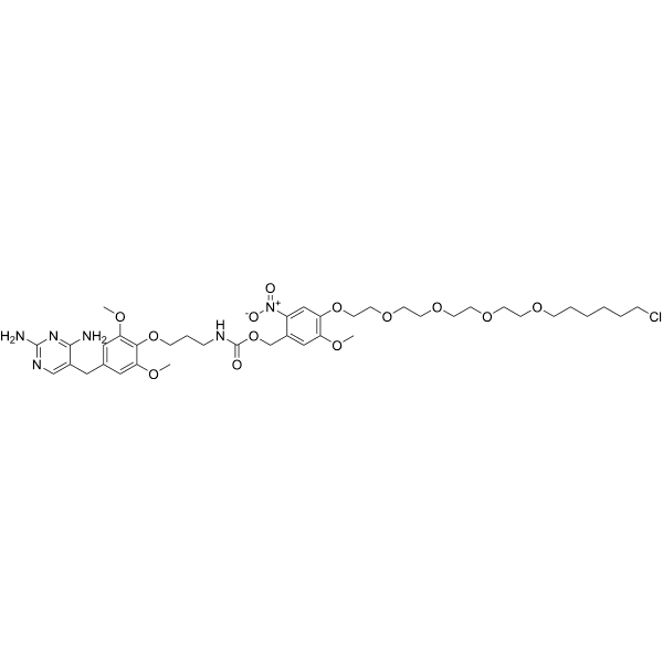 TNH Structure