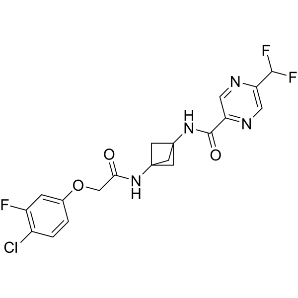 2BAct  Structure