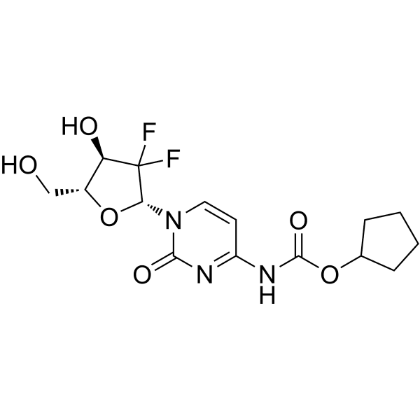 C-Gem Structure