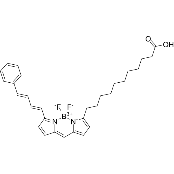 ABDP 581/591 C11 Structure