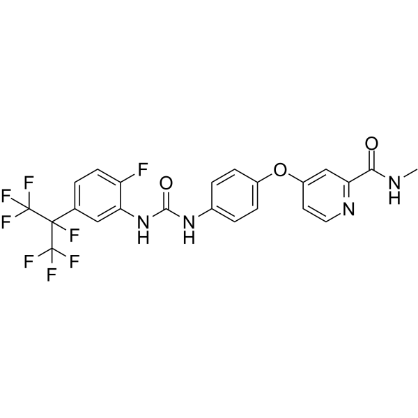 APS6-45  Structure