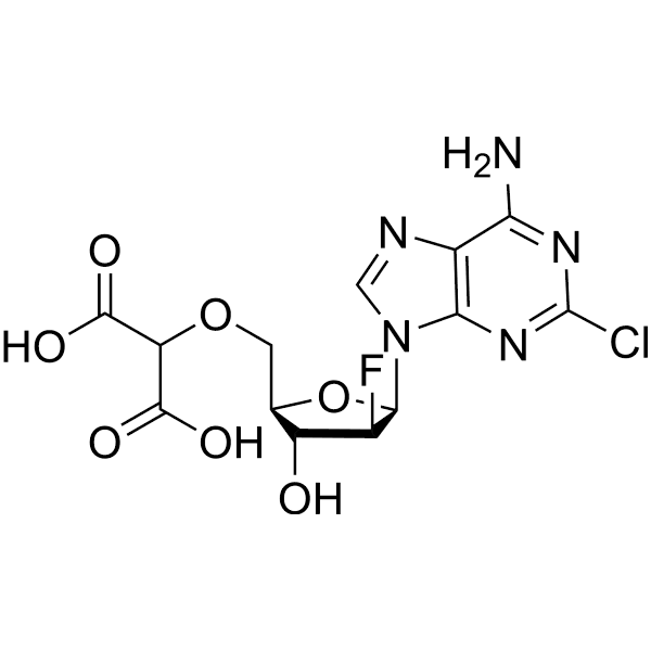 BK50164 Structure