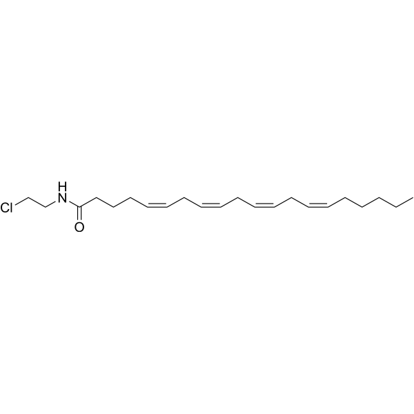 ACEA Structure