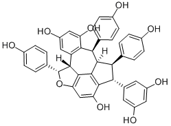 Suffruticosol A Structure