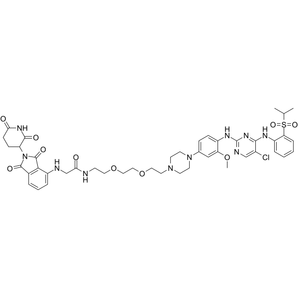 TL13-12  Structure