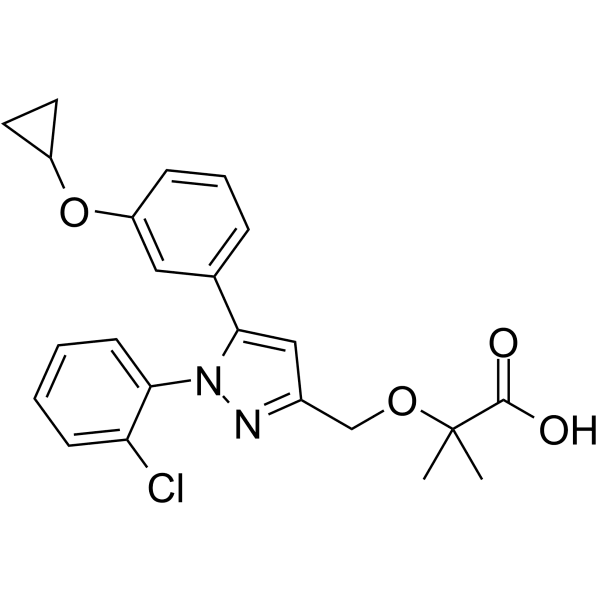 VB124  Structure