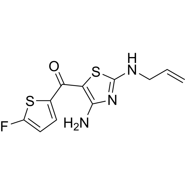 TT-10 Structure