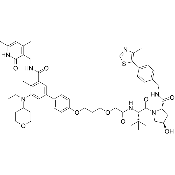 YM281  Structure