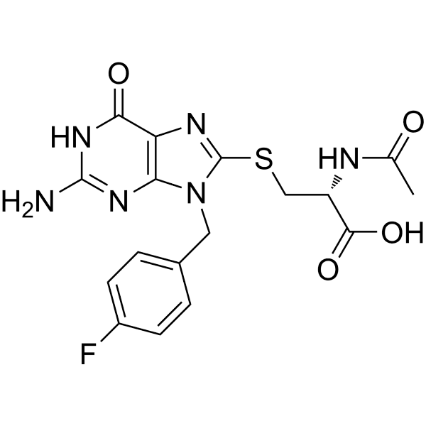 FBnG Structure