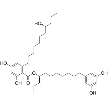 Integracin B Structure