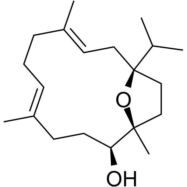 Incensole Structure