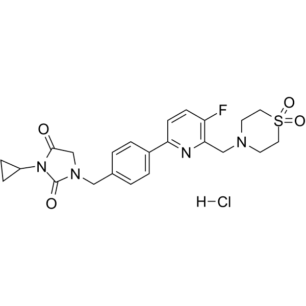 LEI-101  Structure