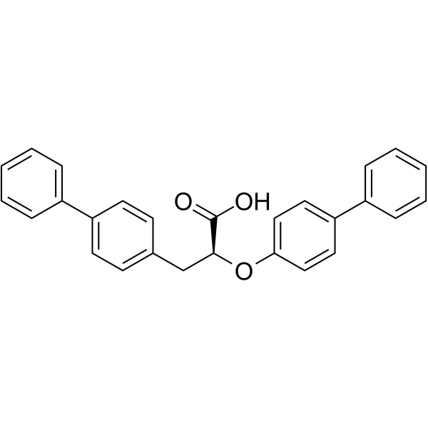 LJ570  Structure