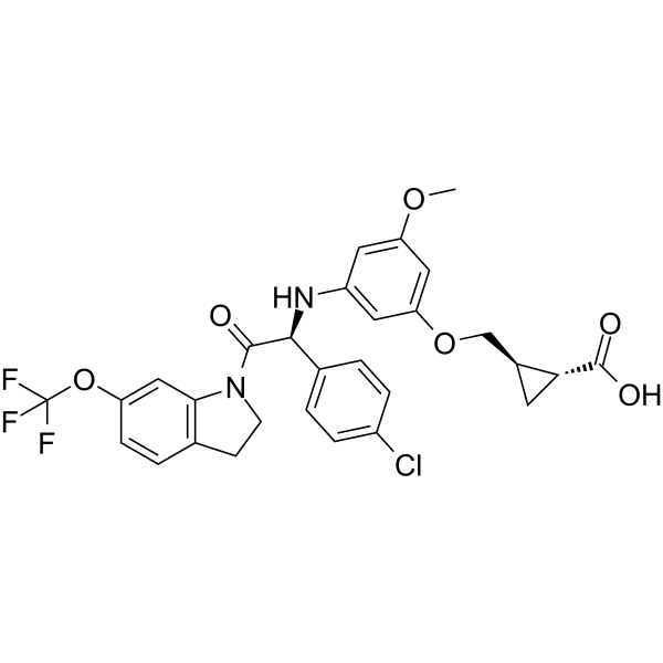 DENV-IN-2  Structure