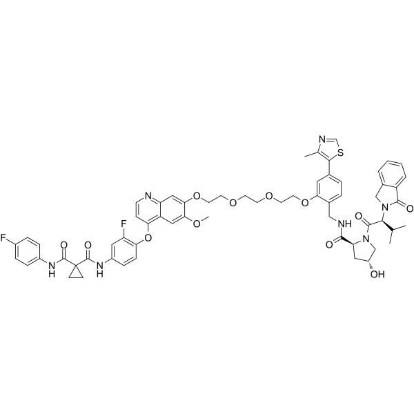 SJFδ  Structure