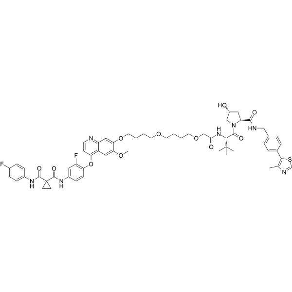 SJFα  Structure