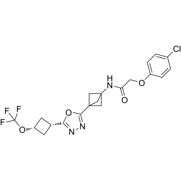 DNL343  Structure