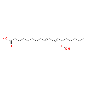 (±)13-HpODE  Structure