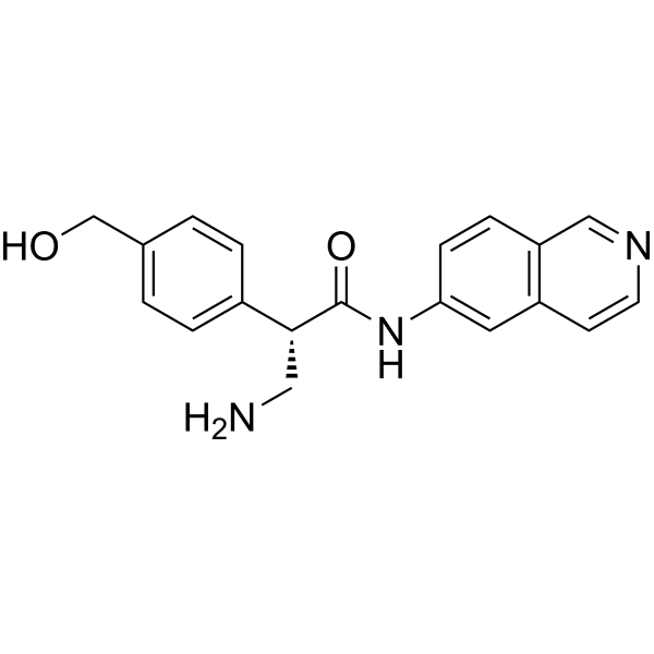 AR-13503 Structure