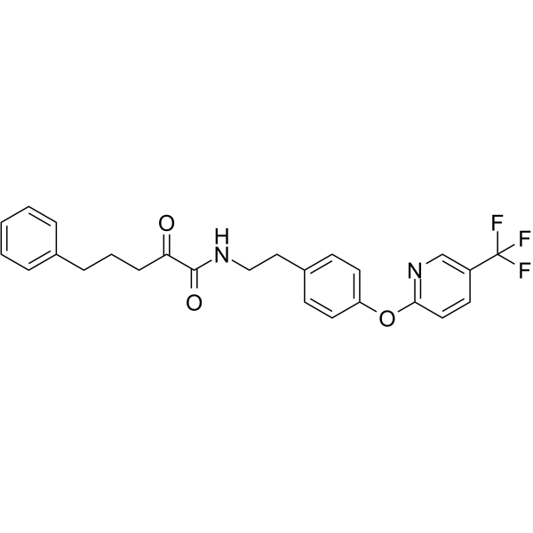 LEI110  Structure