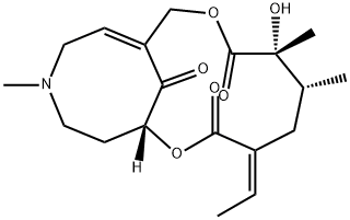 Senkirkin Structure