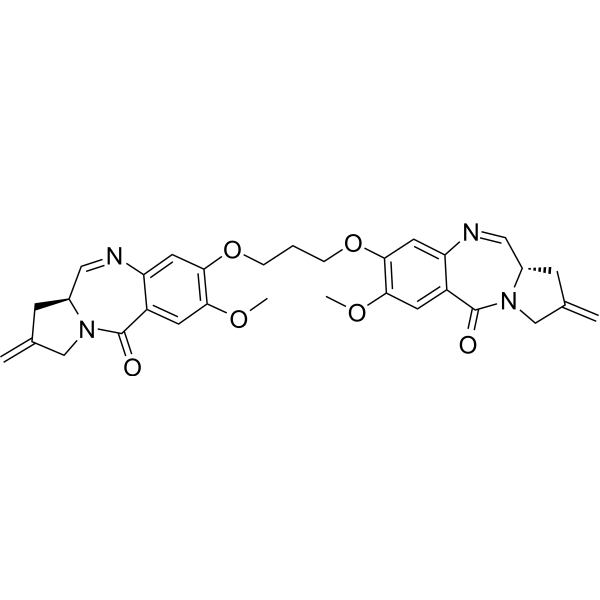 SJG-136 Structure