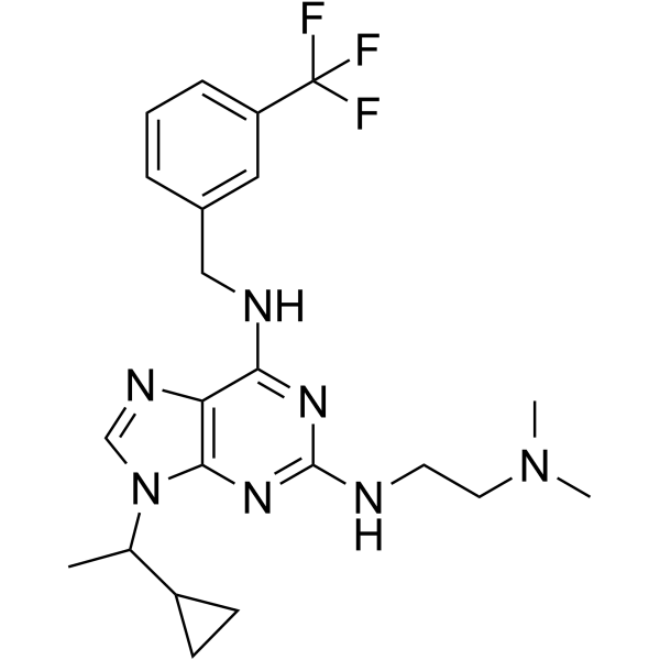 NCC007  Structure