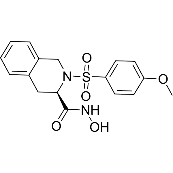 MMP-8 inhibitor-1 Structure