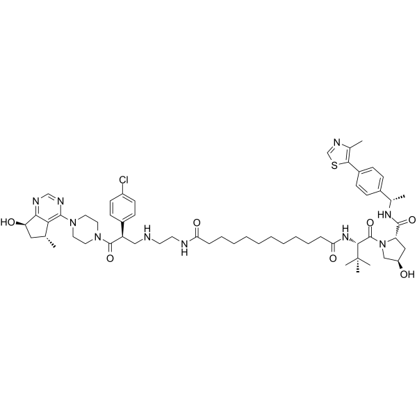 MS98  Structure