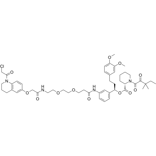 KB02-SLF  Structure