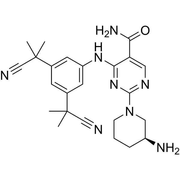 CS587 Structure