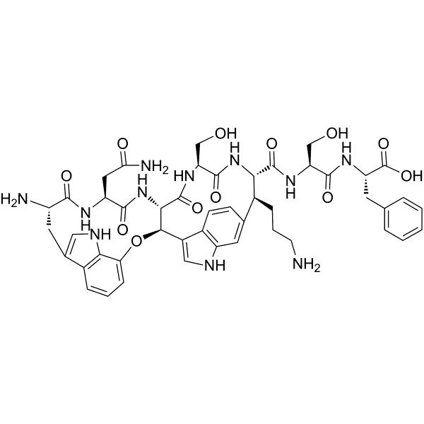 Darobactin Structure