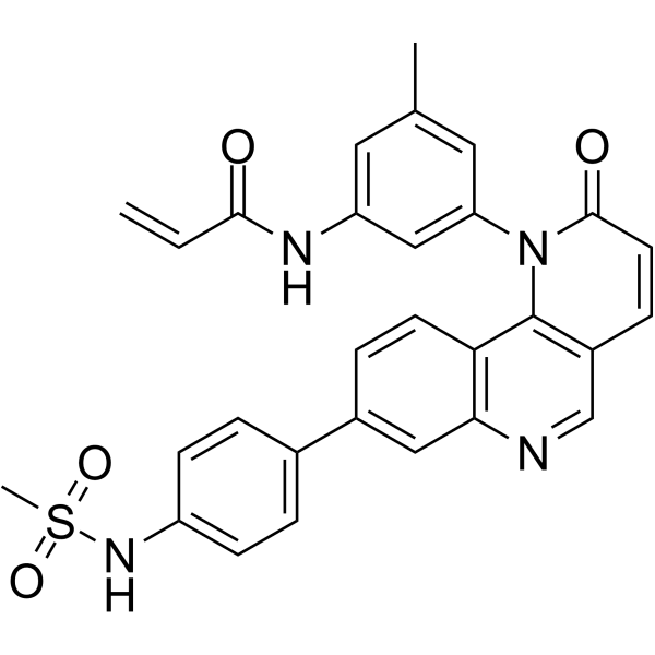 JS25  Structure