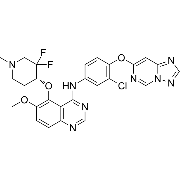 HER2-IN-13 Structure