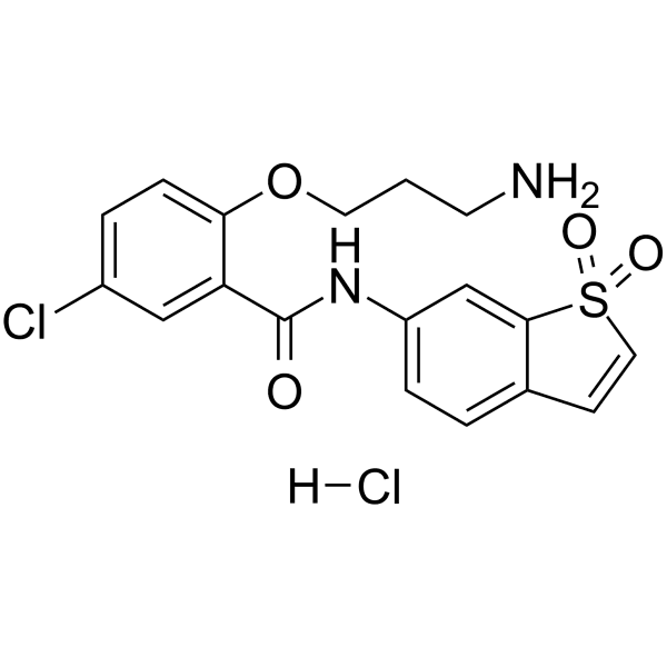 HJC0416 hydrochloride Structure