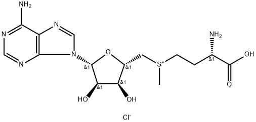 S-(5'-Adenosyl)-L-methionine chloride Structure