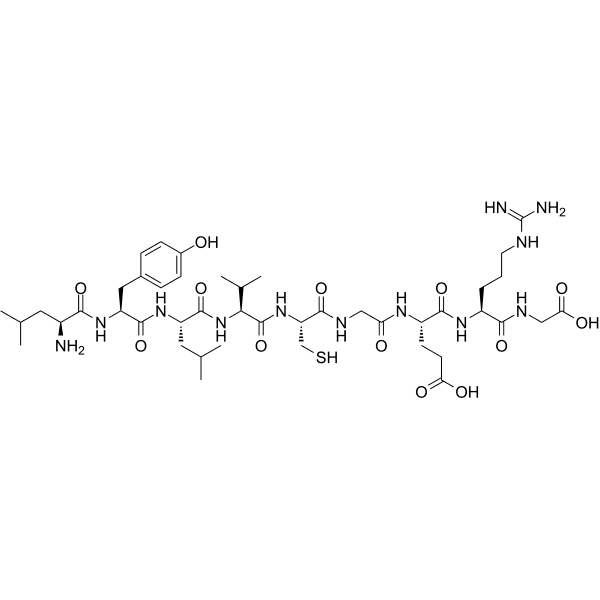 Insulin β Chain Peptide (15-23) Structure