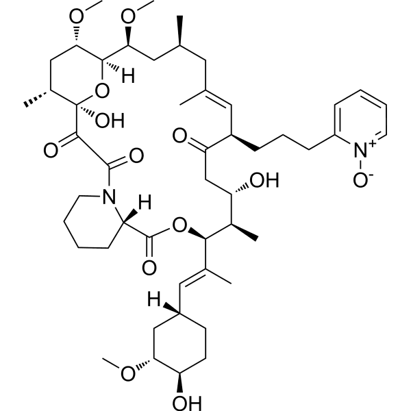 RapaBlock Structure