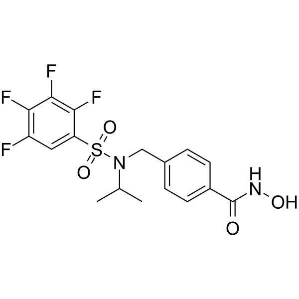 NN-390  Structure