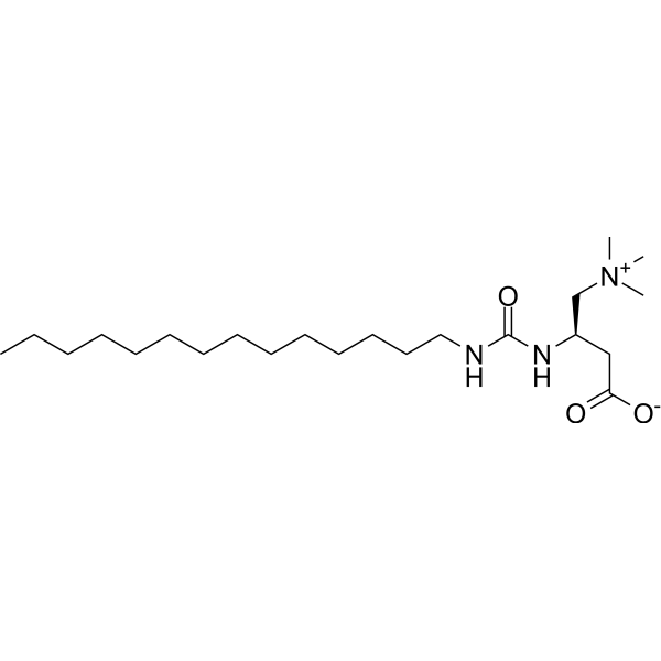 Teglicar Structure