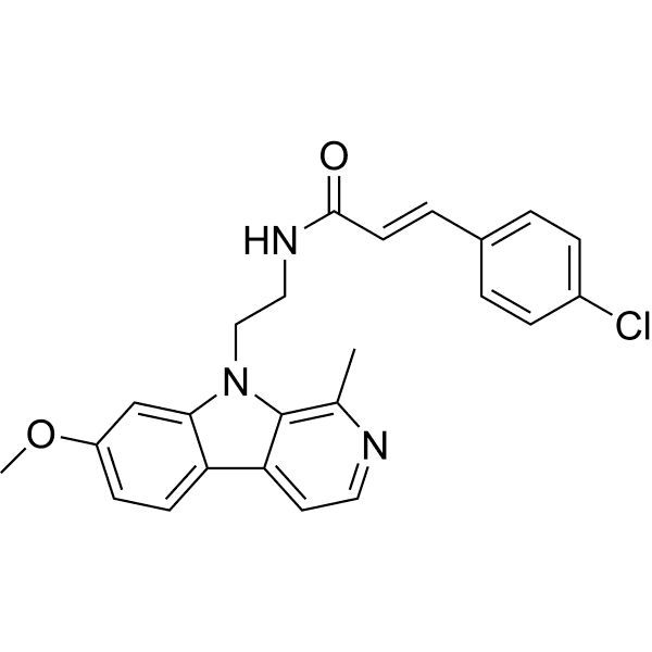 HSP90-IN-21 Structure