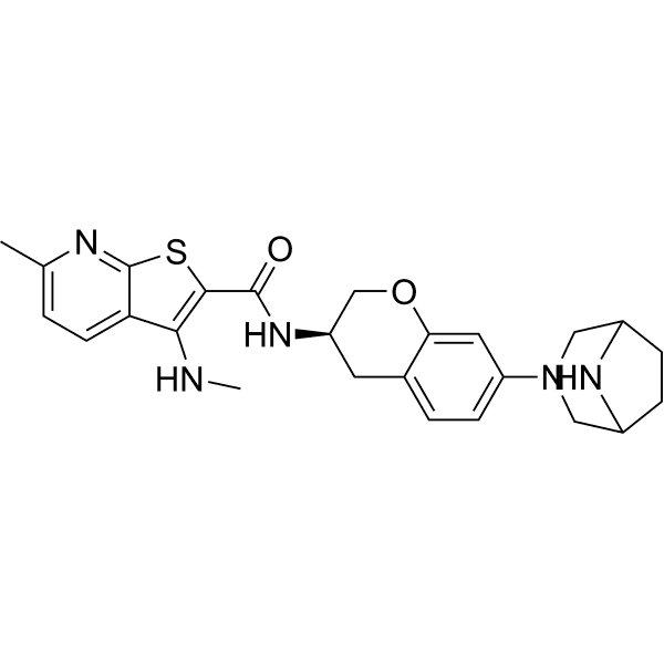 CT1113 Structure