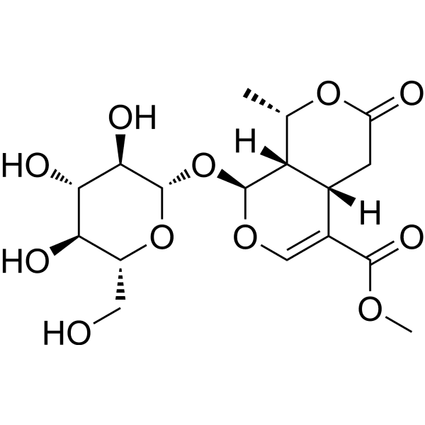 Kingiside Structure