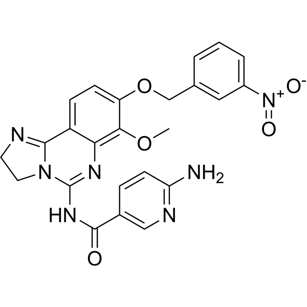 MIPS-21335 Structure