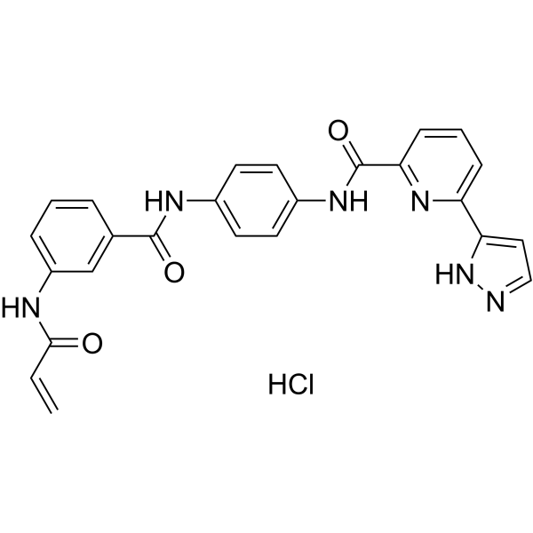 JH-X-119-01 hydrochloride Structure