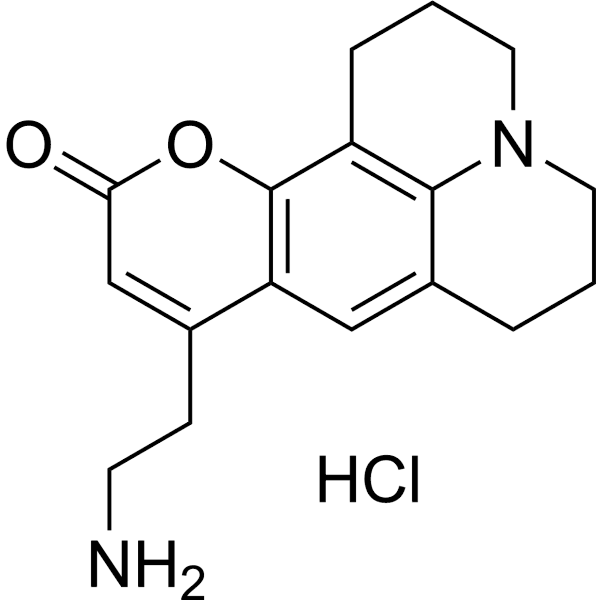 FFN511 hydrochloride  Structure